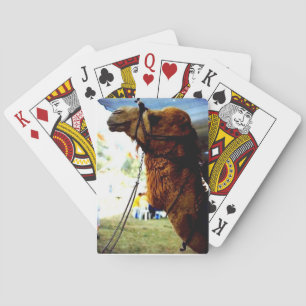 Jeu De Cartes Cartes de jeu israéliennes de chameau