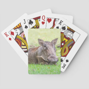 Jeu De Cartes Cartes de jeu merveilleuses de Warthog