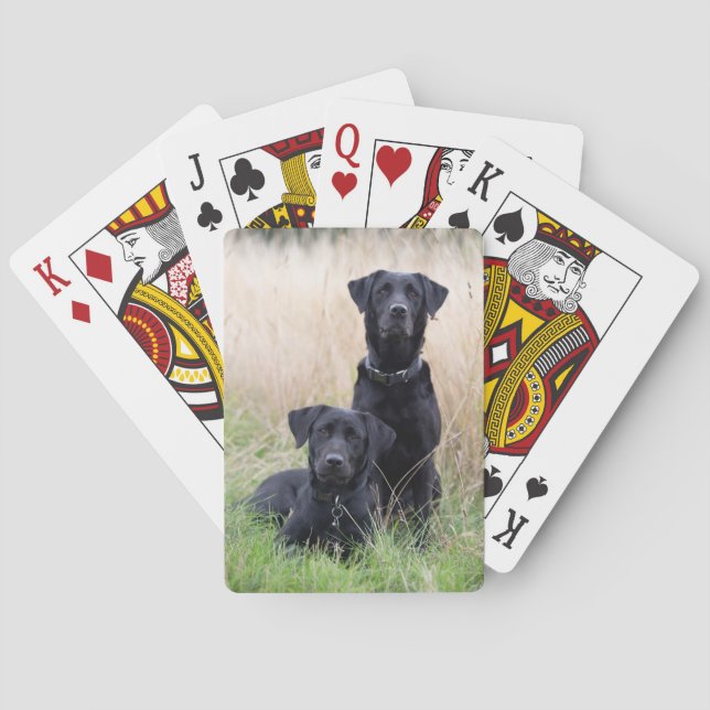 Jeu De Cartes Cartes de jeu noires de Labrador (dos)