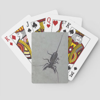 Jeu De Cartes Cartes de jeu Vinegaroon