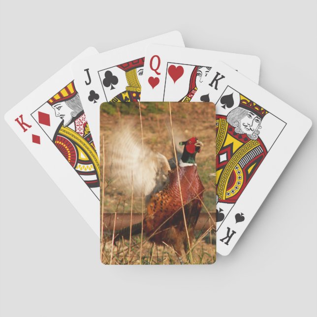 Jeu De Cartes Cartes De Jouage Faisant Faisceau (dos)