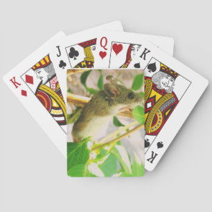 Jeu De Cartes Cartes de lecture de souris