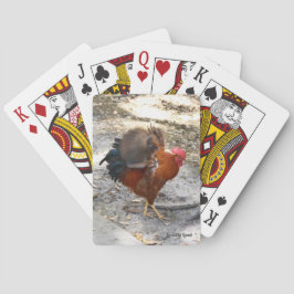 Jeu De Cartes Cartes de lecture du coq
