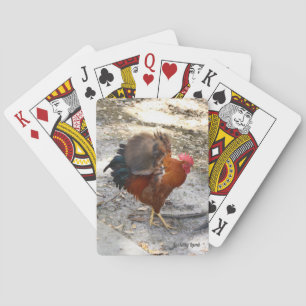 Jeu De Cartes Cartes de lecture du coq