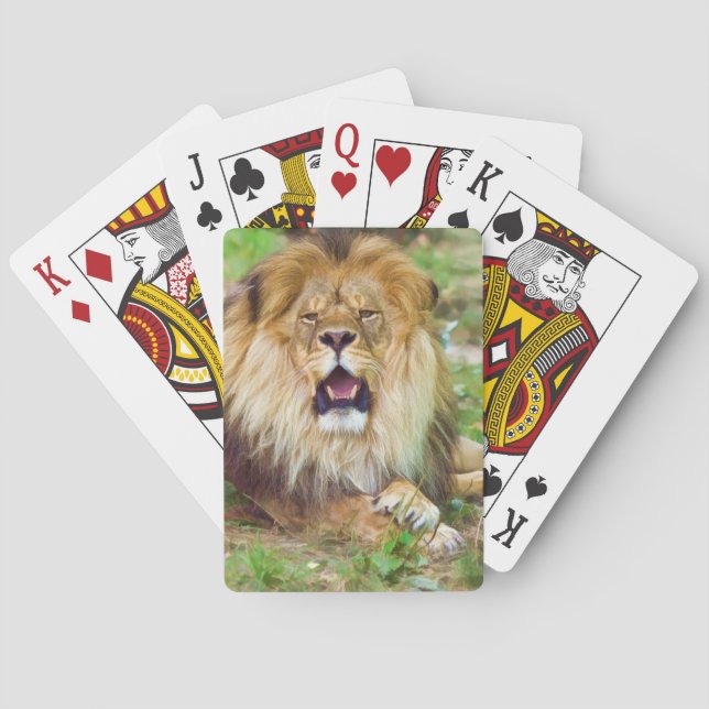 Jeu De Cartes Cartes de lecture du lion rugissant (dos)