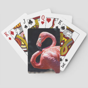 Jeu De Cartes Cartes de lecture Flamant rose