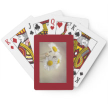 Cartes de marguerite