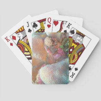 Jeu De Cartes Cartes de poker d'anguille