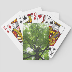 Jeu De Cartes Cartes Sunshine Canopy