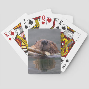 Jeu De Cartes castor