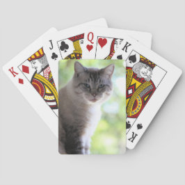 Jeu De Cartes Cat