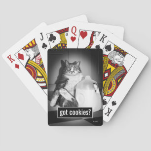 Jeu De Cartes Cat Drinking Milk From Jug