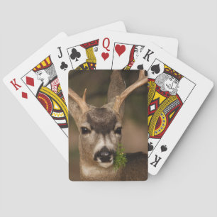 Jeu De Cartes cerf