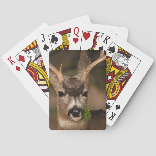 Jeu De Cartes cerf (dos)