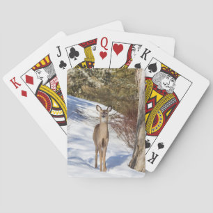 Jeu De Cartes Cerf De Virginie Qui Vous Regarde