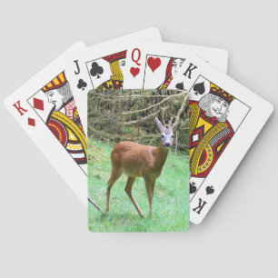 Jeu De Cartes Cerf Élégant aux Bois Nature Scène Campagne Art