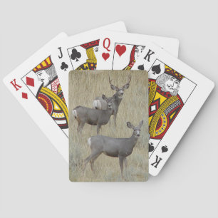 Jeu De Cartes Cerf mulet D18