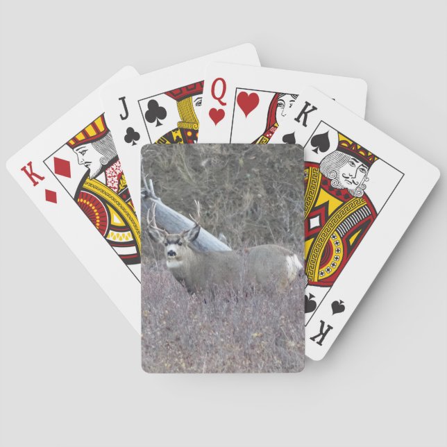 Jeu De Cartes Cerf mulet mâle D32 (dos)