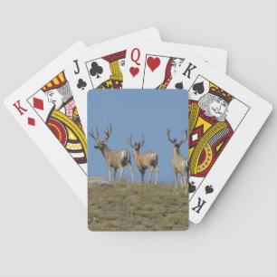 Jeu De Cartes Cerfs Mulets D9 en Velours sous un Ciel Ligné