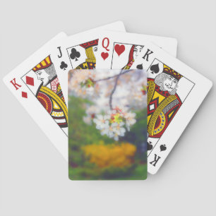 Jeu De Cartes Cerisier Fleur Imaginaire Bicyclette Jouer Cartes