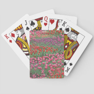 Jeu De Cartes Champ De Tulipes