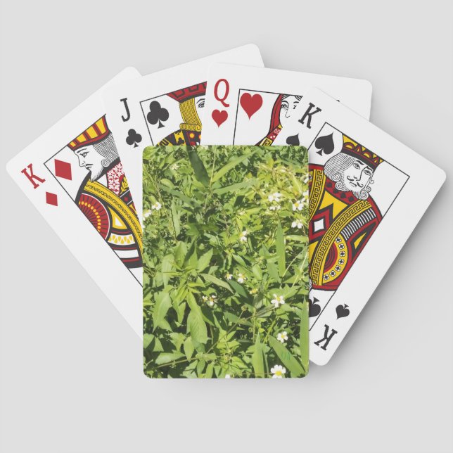 Jeu De Cartes Champ fleuri vert luxuriant (dos)