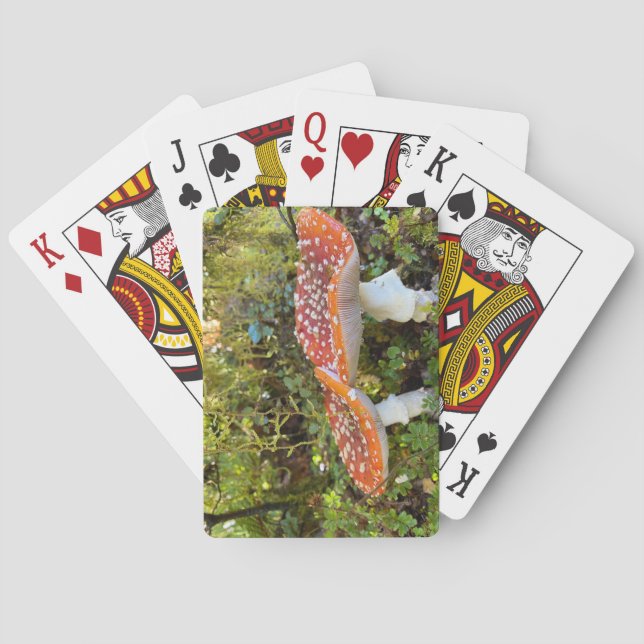 Jeu De Cartes Champignons de contes Fairytale (dos)