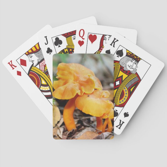 Jeu De Cartes Champignons sauvages Pale Orange Nature (dos)