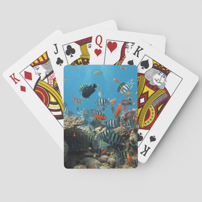 Jeu De Cartes Chaos tropical de poissons (dos)