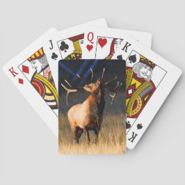 Jeu De Cartes Chargement des wapitis