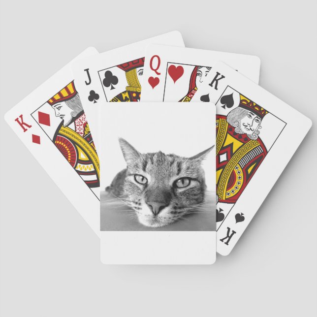 Jeu De Cartes Chat couché (dos)