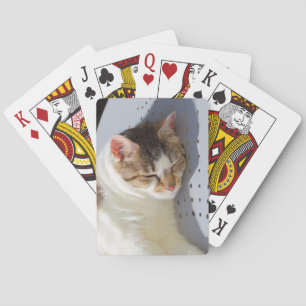 Jeu De Cartes Chat dormant dans un jardin