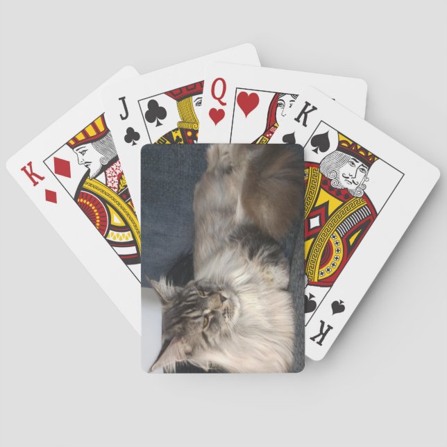 Jeu De Cartes Chat du Maine (dos)