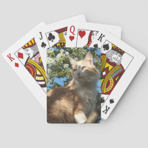 Jeu De Cartes Chat du Sahara dans un arbre Jouer aux cartes