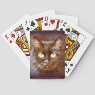 Jeu De Cartes chat noir