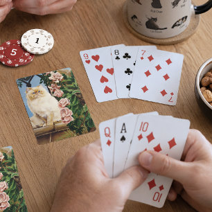 Jeu De Cartes Chat Persan Crème Envoûtant Rose Forestière Dryade