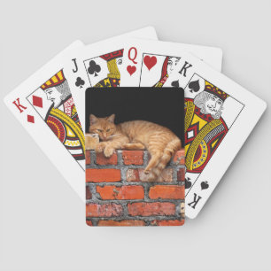 Jeu De Cartes Chat sur mur de brique