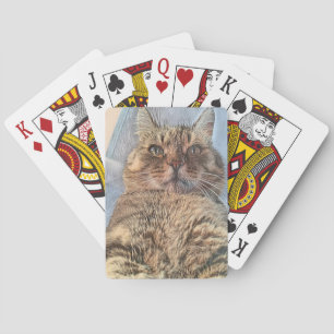 Jeu De Cartes Chat Tigre Majestueux