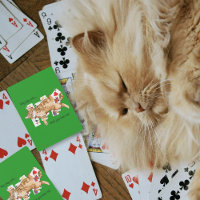 Chat tigré orange drôle jouant aux cartes solitair