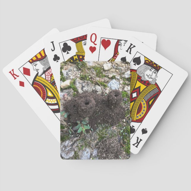 Jeu De Cartes Château d'Ant (dos)