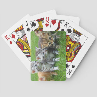 Jeu De Cartes Chatons bruns