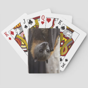 Jeu De Cartes Chauve-souris australienne