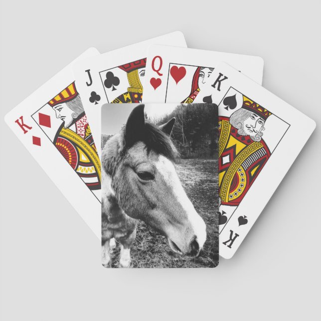 Jeu De Cartes Cheval (dos)