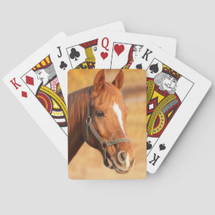 Jeu De Cartes Cheval