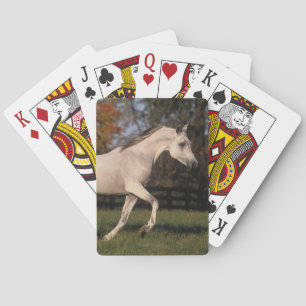Jeu De Cartes Cheval arabe : Automne 2