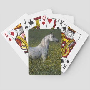 Jeu De Cartes Cheval arabe se tenant en fleurs
