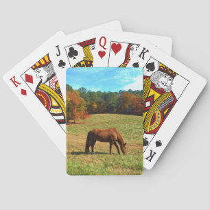 Jeu De Cartes Cheval Brown rouge, ciel bleu Turquoise
