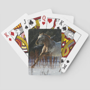 Jeu De Cartes Cheval d'Appaloosa fonctionnant dans la neige