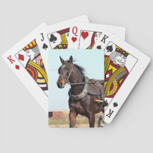 Jeu De Cartes Cheval de l'Amish rural et buggy