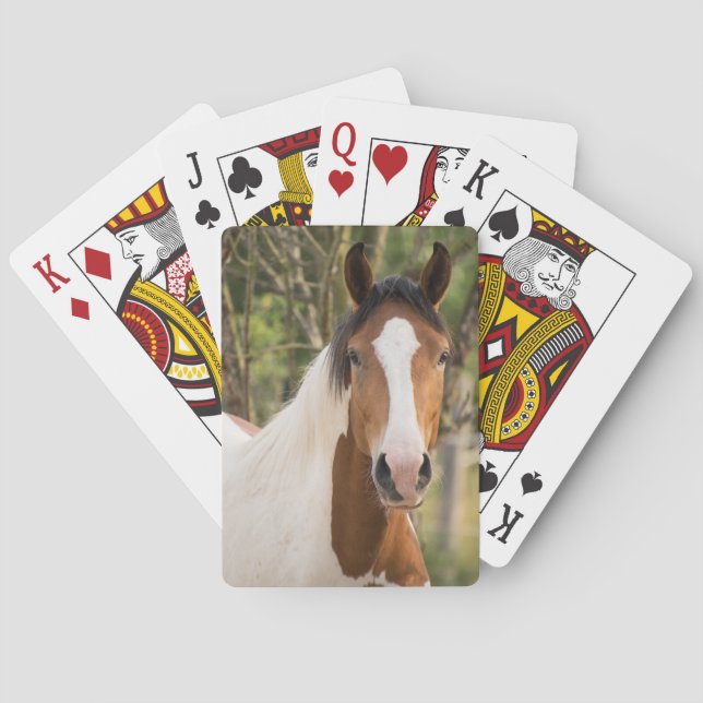 Jeu De Cartes Cheval de peinture (dos)